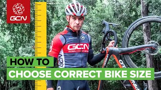 How to Choose The Correct Bike Size [upl. by Aik562]