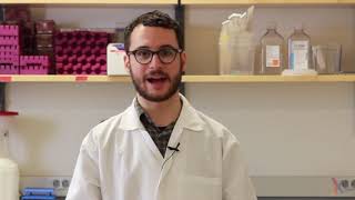 PCR Method Video [upl. by Lewis]