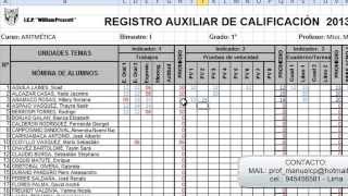 SISTEMA DE REGISTRO COMPLETO EN EXCEL [upl. by Dru566]