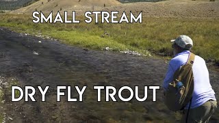 Small Stream Dry Fly Nirvana  Dubois Wyoming [upl. by Drud]