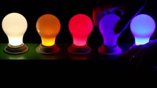 Colored LED Light Bulbs at 1000Bulbs [upl. by Riess]