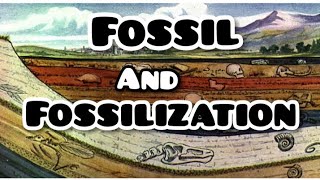 Fossil And Fossilization [upl. by Notnad365]