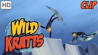 Wild Kratts  Surfing in the Arctic [upl. by Eidissac]