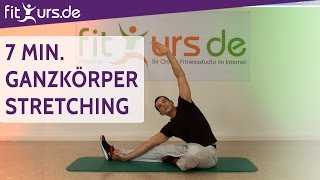 7 Min GanzkörperStretching für zwischendurch [upl. by Delfine]