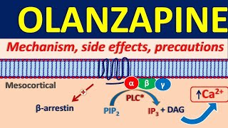 Olanzapine 5 mg and 10 mg  Uses dose and side effects [upl. by Lyred87]