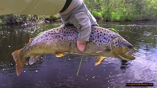 Hot Fishing in Cooks Run  Michigans Upper Peninsula [upl. by Anaeda]