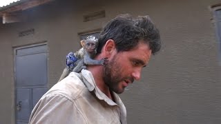 Baby Vervet Monkey Rescued from African Brush Fire [upl. by Esinwahs270]