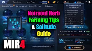 MIR4 Noirsoul Herb Farming Tips amp Solitude Guide [upl. by Damales828]