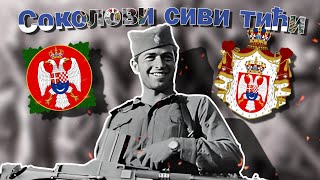 quotСоколови сиви тићиquot  Chetnik Song [upl. by Croydon794]