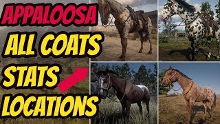 Red Dead Redemption 2 Appaloosa LOCATION amp ALL COATS amp STATS GOOD HORSE GUIDE [upl. by Artimid]