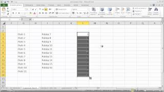 EXCEL  Serie danych i listy [upl. by Meensat]