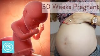 30 Weeks Pregnant What You Need To Know  Channel Mum [upl. by Kirch874]