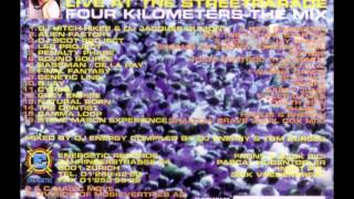 DJ Energy Live at the Streetparade Four Kilometers the Mix 1996 [upl. by Soisanahta]