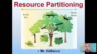 Resource Partitioning [upl. by Lekkim941]