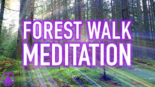 Guided Forest Walk Meditation  Calming and Relaxing Mindfulness Activity [upl. by Dari718]