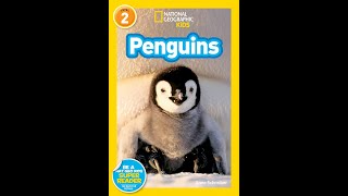 17 Penguin Species in One Video [upl. by Siramay]