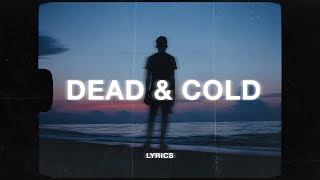 SadBoyProlific  Dead and Cold Lyrics  i wish i was dead and cold [upl. by Tyra975]