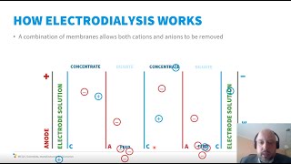 Electrodialysis in Water Treatment 101 [upl. by Htebiram]