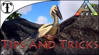 Fast Ichthyornis Taming Guide  Ark  Survival Evolved Tips and Tricks [upl. by Llechtim]