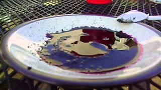 Potassium Permanganate  Sugar  Water [upl. by Boardman315]