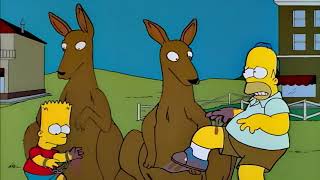 Kangaroo Pouches  The Simpsons [upl. by Cloe]