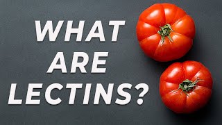 Lectins  What are they [upl. by Adaven]