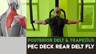 Pec Deck Rear Delt Fly  Raises  Arka Omuz Güçlendir [upl. by Asaret]