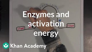 Enzymes and activation energy  Biomolecules  MCAT  Khan Academy [upl. by Jeffry]