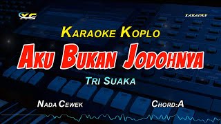 AKU BUKAN JODOHNYA KARAOKE KOPLO NADA CEWEK [upl. by Estren]