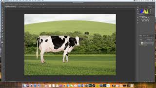 How to insert an image into another image Photoshop  EASY EXPLANATION [upl. by Nawaj]