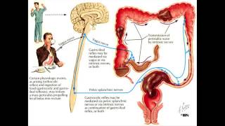 Loose Stool From Magnesium Heres What to Do [upl. by Terag]