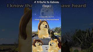 A tribute to Kabosu Doge [upl. by Milan]