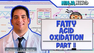 Metabolism  Fatty Acid Oxidation Part 2 [upl. by Petromilli]