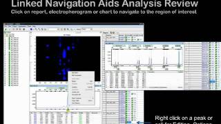 GeneMarker® Genotyping Software  Introductory Webinar [upl. by Klotz]