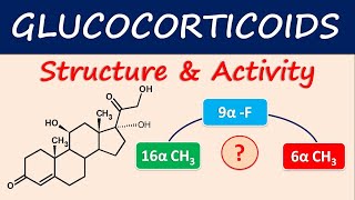 Corticosteroids – Pharmacology  Lecturio Nursing [upl. by Aizirk]