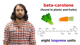 Lipids Part 1 TAGs Fatty Acids and Terpenes [upl. by Franciskus]