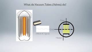 What do vacuum tubes valves do [upl. by Juakn]