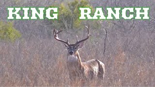 Hunting the King Ranch in Kingsville Texas [upl. by Leggett455]