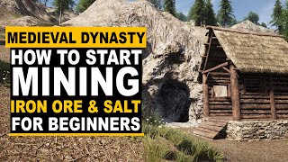 Medieval Dynasty  How to Start Mining for Beginners [upl. by Felix106]