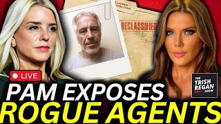 BOMBSHELL New Epstein Info May IMPLICATE US Intel in Criminal Black Ops [upl. by Sieber]