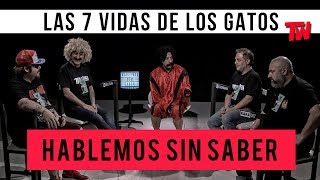 Hablemos Sin Saber  Las 7 Vidas de los Gatos [upl. by Jandel]