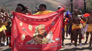 ZULU MAIDENS PMB TRADITIONAL DANCE [upl. by Naillik]