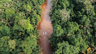 EL AMAZONAS DE COSTA RICA  Tortuguero Limón [upl. by Lola]