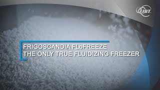 Frigoscandia FLoFREEZE® IQF  the only true fluidizing freezer [upl. by Shuma585]