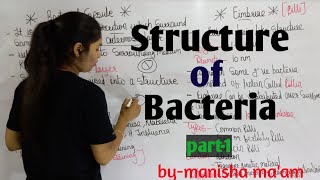 Structure of Bacteria  in hindi Bacteriology  By Manisha Maam  Microbiology [upl. by Luar549]