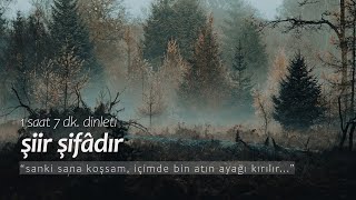 şiir şifâdır  en sevilenler 1 saat dinleti [upl. by Sass154]