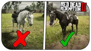 How To Get The BLACK ARABIAN Horse In Red Dead Redemption 2 [upl. by Kudva]