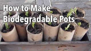 How to Make Biodegradable Plant Pots  Homemade Seed Starting Pots [upl. by Kumagai]