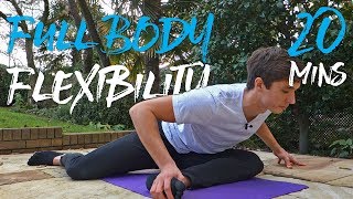 20 Minute Full Body Flexibility Routine FOLLOW ALONG [upl. by Barthel]