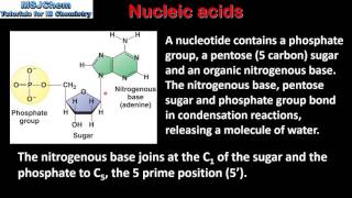 B8 Nucleic acids  Polynucleotides  DNA and RNA HL [upl. by Notle950]